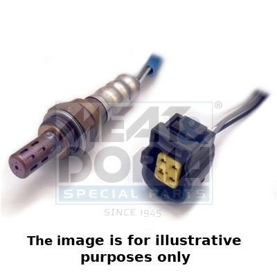 Oxygen Sensor
